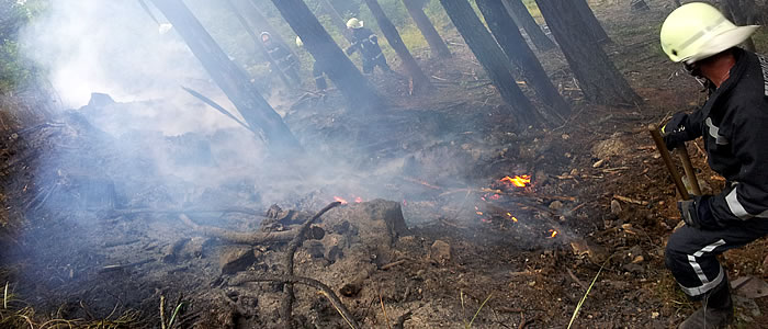 Waldbrand in St. Ilgen